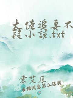 大佬追妻不择手段小说.txt