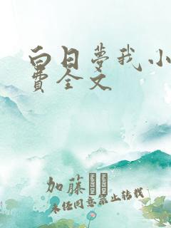 白日梦我小说免费全文