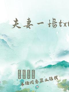夫妻一场txt
