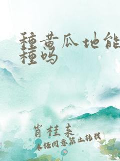 种黄瓜地能重茬种吗