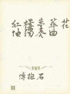 红楼梦葬花吟吉他独奏曲
