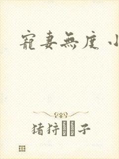 宠妻无度 小说