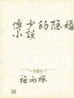 傅少的隐婚甜妻小说