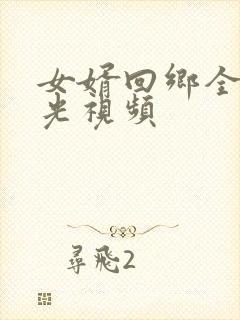 女婿回乡全村风光视频