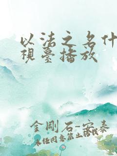 以法之名什么电视台播放