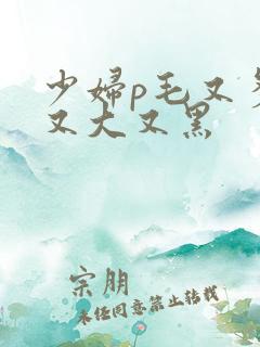 少妇p毛又多水又大又黑