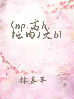 (np,高h,纯肉)文bl