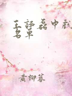 王译磊中戏同学名单
