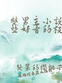 双男主小说有哪些好看的校园文