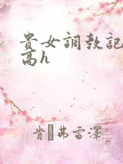 贵女调教记np高h