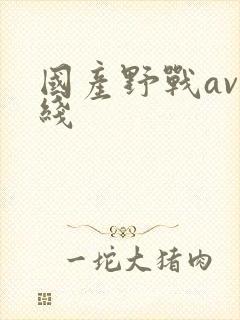国产野战av在线