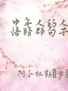 中年人的人生感悟精辟句子