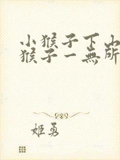 小猴子下山中小猴子一无所获的原因