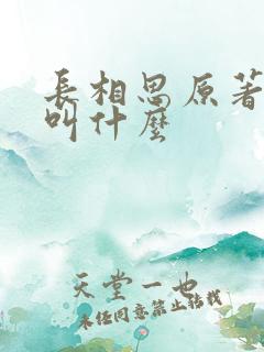 长相思原著小说叫什么