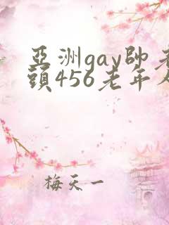 亚洲gay帅老头456老年人