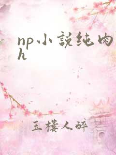 np小说纯肉高h