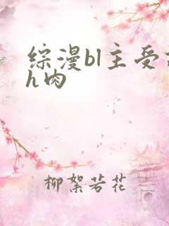 综漫bl主受高h肉