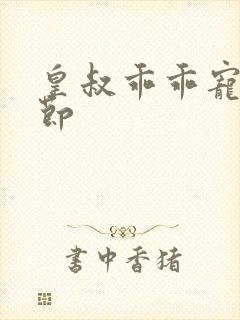 皇叔乖乖宠我章节