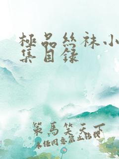 极品丝袜小说合集目录