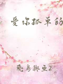 爱你孤单的心事