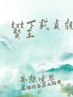 txt下载贞观贤王