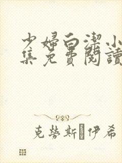 少妇白洁小说全集免费阅读
