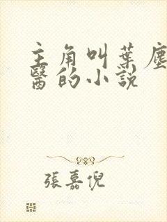 主角叫叶尘是神医的小说