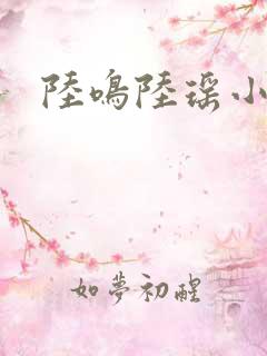 陆鸣陆瑶小说