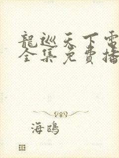 龙巡天下电视剧全集免费播放
