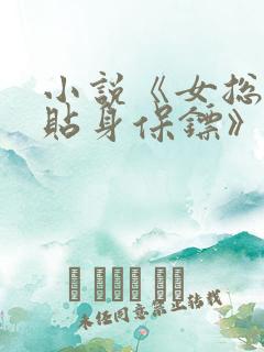 小说《女总裁的贴身保镖》