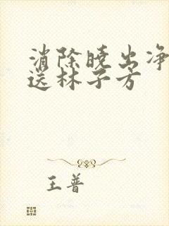 消除晓出净慈寺送林子方