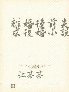 离婚后前夫哭着求复婚小说完本免费阅读