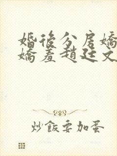 婚后分房娇夫别娇羞赵廷文方允免费阅读
