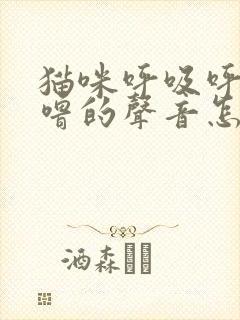 猫咪呼吸呼噜呼噜的声音怎么回事