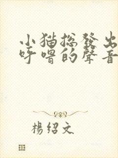 小猫总发出呼噜呼噜的声音怎么回事