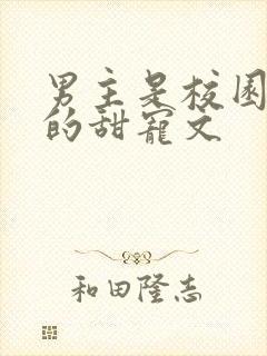 男主是校园大佬的甜宠文