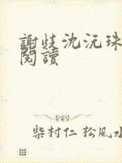 谢歧沈沅珠免费阅读