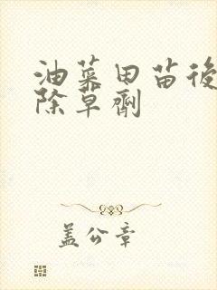 油菜田苗后专用除草剂