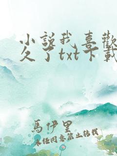 小说我喜欢你很久了txt下载