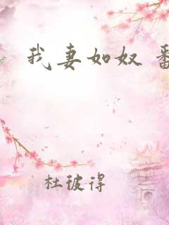 我妻如奴 番外