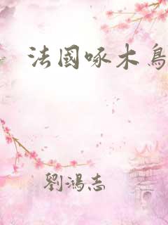 法国啄木鸟熟女