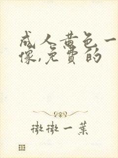 成人黄色一级录像,免费的