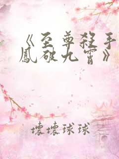 《至尊杀手妃:凤破九霄》