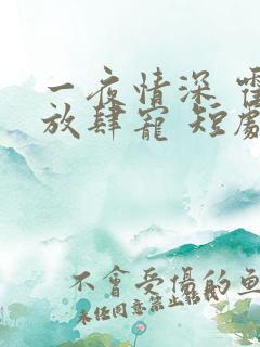 一夜情深 霍少放肆宠 短剧