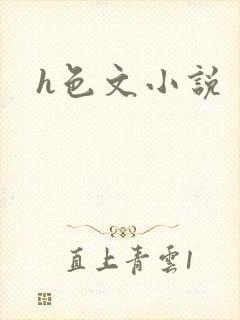 h色文小说