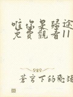 唯你是归途短剧免费观看11