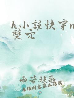 h小说快穿np双穴