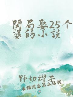 开局娶25个老婆的小说