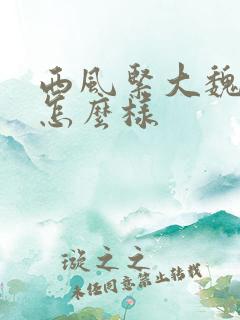 西风紧大魏芳华怎么样