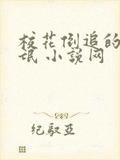 校花倒追的小流氓 小说网